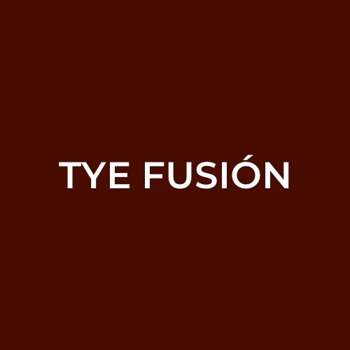 Tye Fusión logo